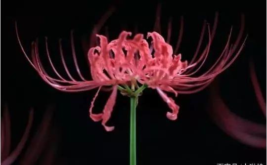 1573975328434238.jpg 3.jpg