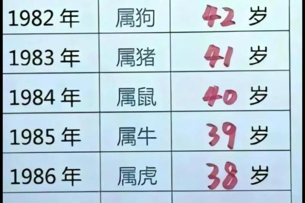 1964年属龙人一生运势如何_1964甲辰年属龙人一生命运走势全解析