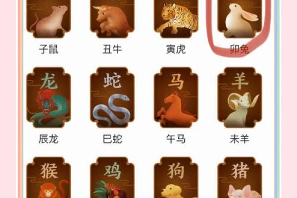 2024年2月9号属兔还是龙_2024年2月9日属兔还是龙春节前夕生肖归属解析 2024年2月9号属兔还是龙_2024年2月9日属兔还是龙春节前夕生肖归属解析