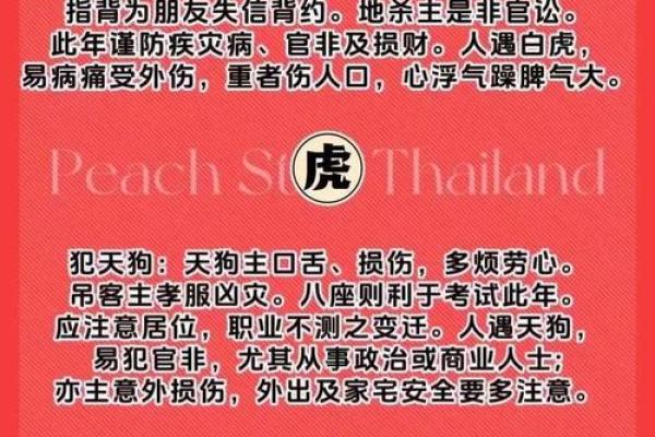 2025属鼠运势及运程每月运程