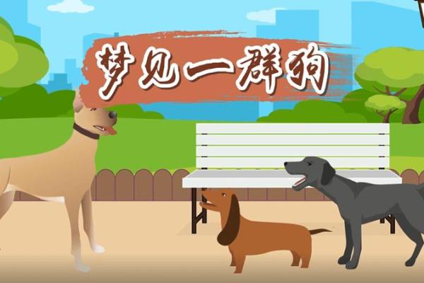 梦见狗说话