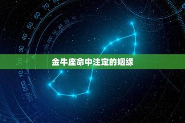 金牛座命中注定的人 金牛座命中注定的人