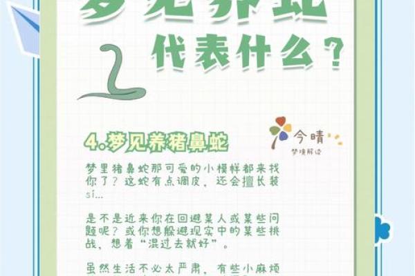 老梦见蛇是怎么回事 老梦见蛇是怎么回事