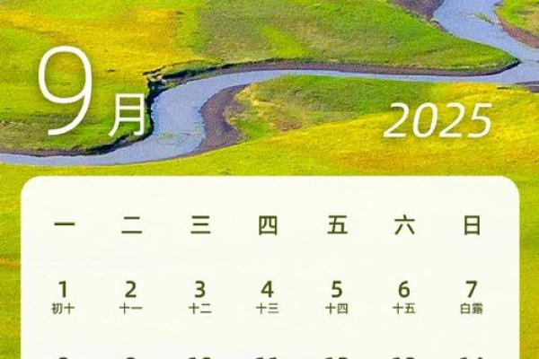 2025年4月29日戌时女命紫微斗数全解盘
