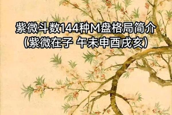 2025年4月18日丑时男命紫微斗数全解盘 2025年4月18日丑时男命紫微斗数全解盘