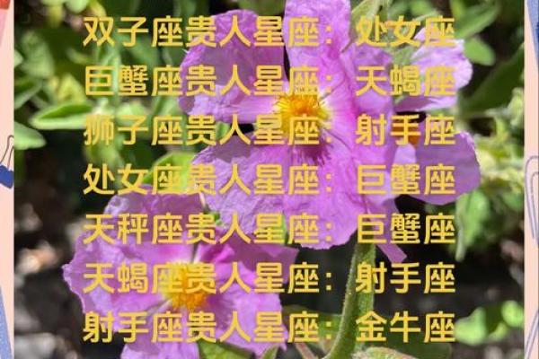 摩羯座女生适合什么星座男生_十二星座