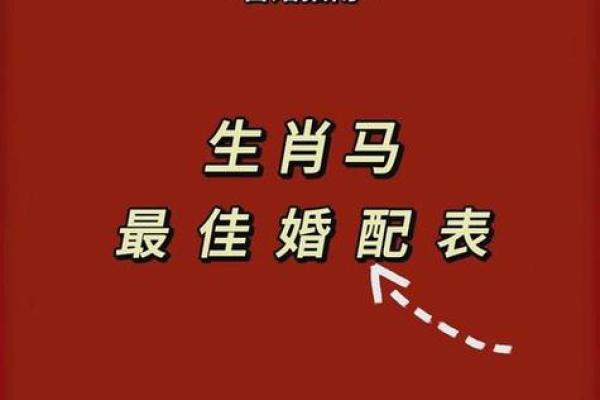 2025年属猪的几月结婚最佳 95年属猪的最佳配偶