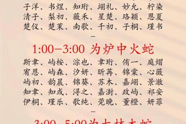 中午12点出生的属蛇男孩如何取名，宜用什么字姓名