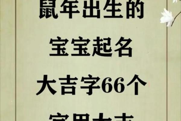 给晚上出生的属鼠男孩起名宜用什么字姓名