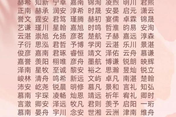 2019年6月27号丑时出生的男孩起名方法姓名