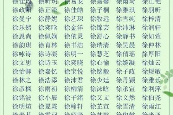 2019年3月25号未时出生的男孩起名方法姓名
