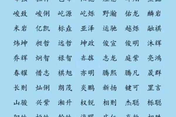 半夜出生的属鼠男孩起名用什么字最好姓名