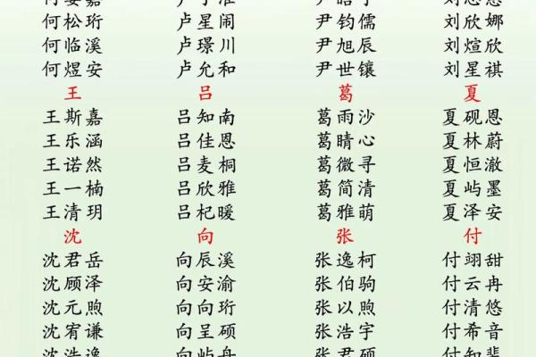 2019年4月13号丑时出生的男孩应该起什么样的名字姓名