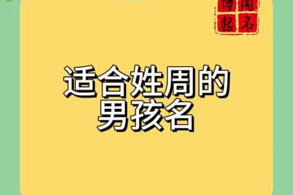 2019年出生的姓周女孩如何起名，宜用什么字姓名