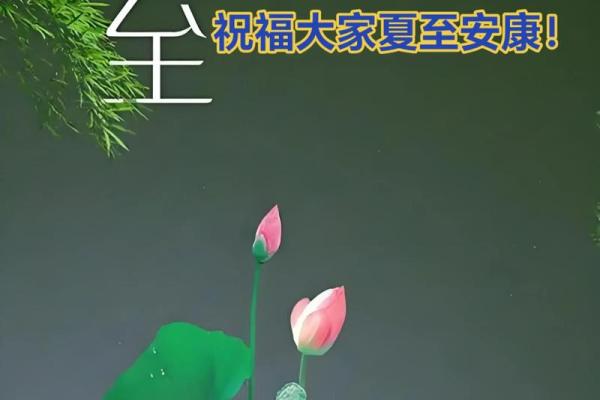 2021年夏至出生的男孩缺土取名大全,响亮大气姓名