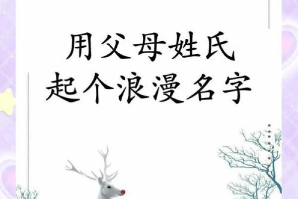 怎么给傍晚出生的属鼠男孩取名字姓名