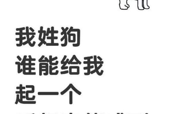 属狗卯时出生的男孩应该如何起名，宜用什么字姓名
