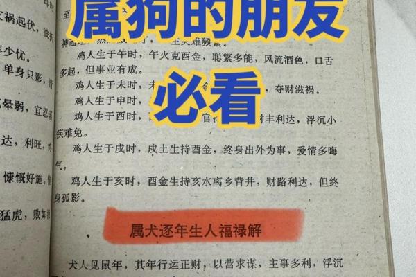 三月份出生的属狗男孩如何取名字姓名 三月份出生的属狗男孩如何取名字姓名