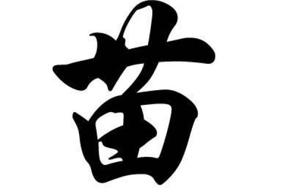 苗姓男孩名字大全-苗姓男孩起名字大全-苗姓名字大全姓名